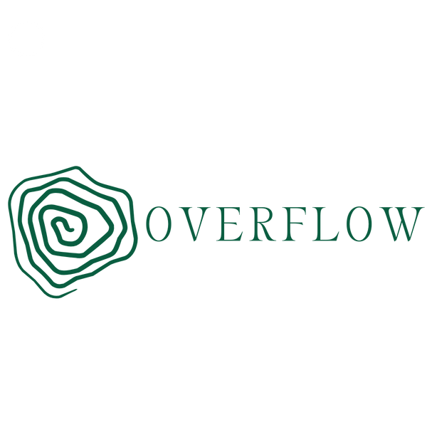 OVERFLOW